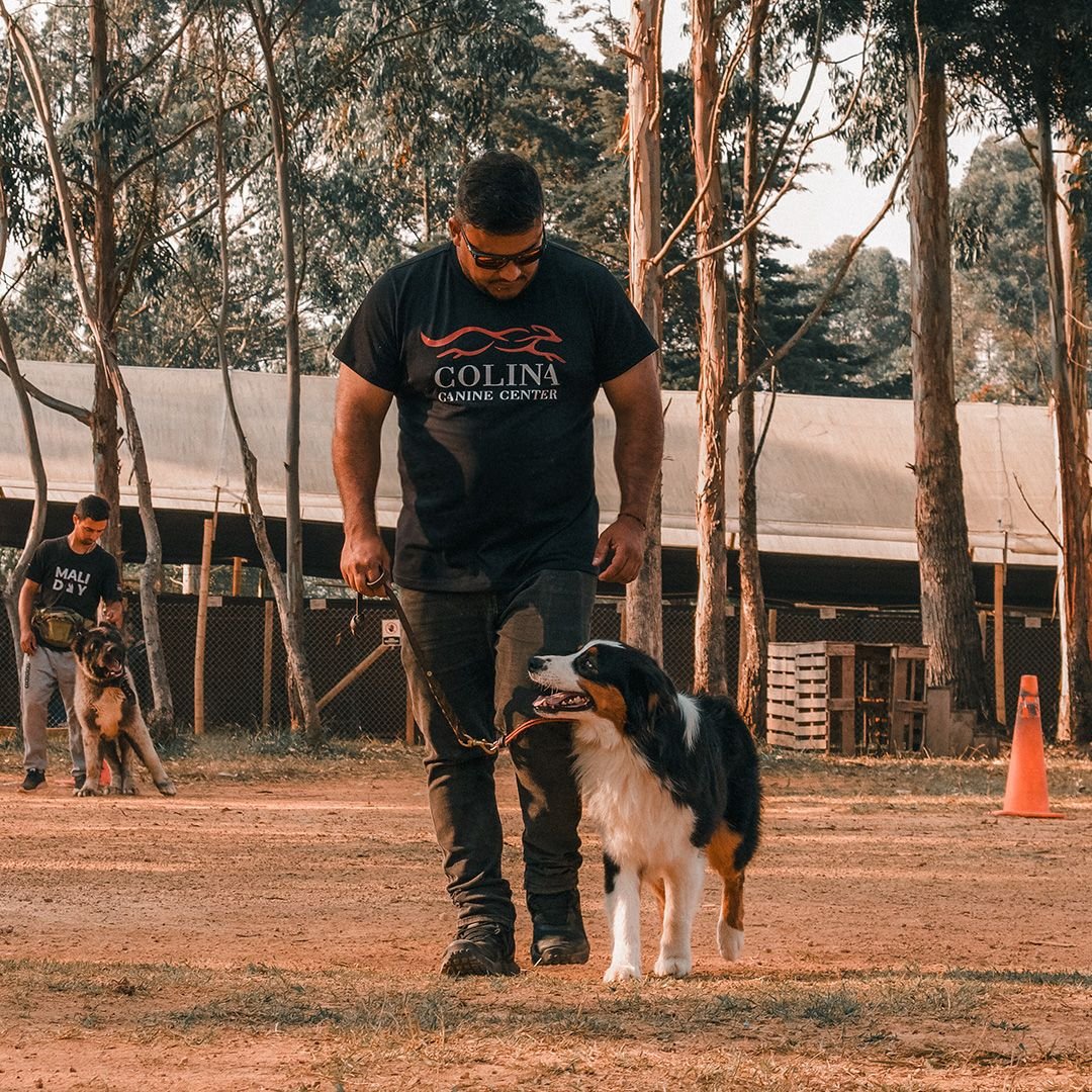 Entrenador de Colina Canine Center trabajando con un perro