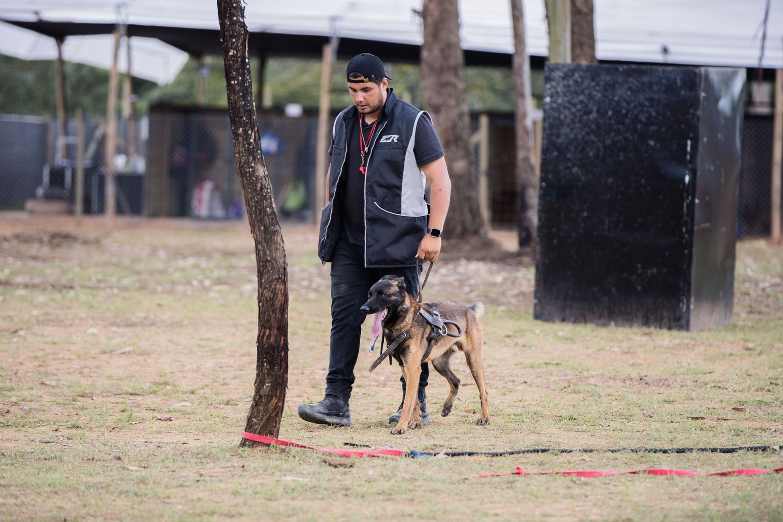 Entrenador guiando a un Pastor Belga Malinois en el programa On Board en Rionegro