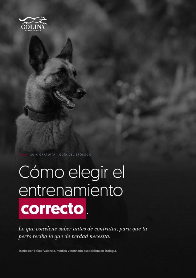 Portada de la guía Cómo elegir el entrenamiento correcto
