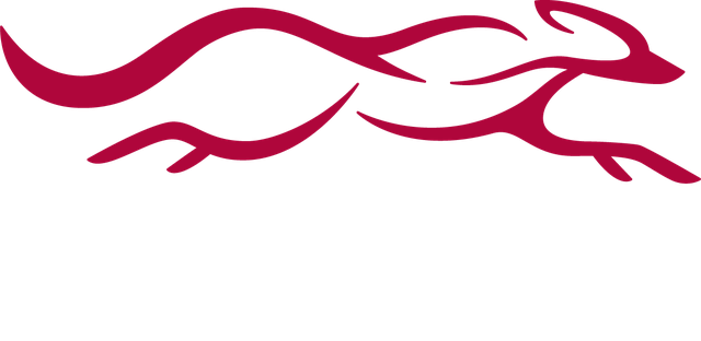 Colina Canine Center